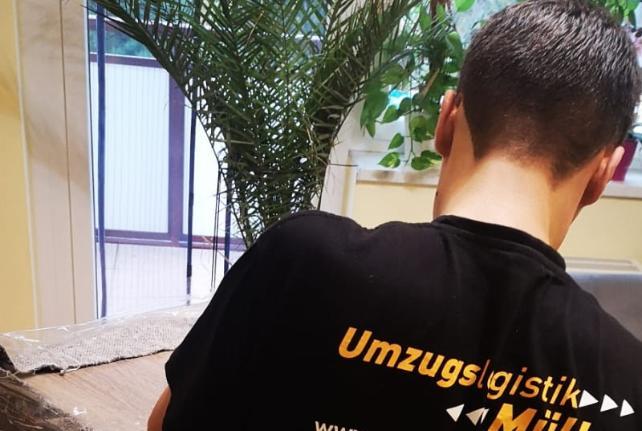 Laborumzug Jonsdorf stressfrei umziehen 